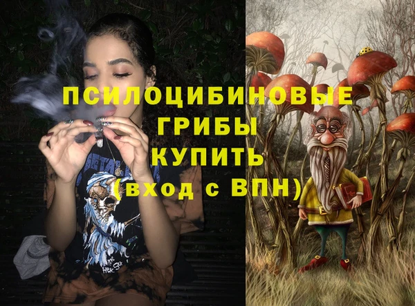 apvp Пересвет