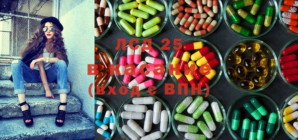 apvp Пересвет
