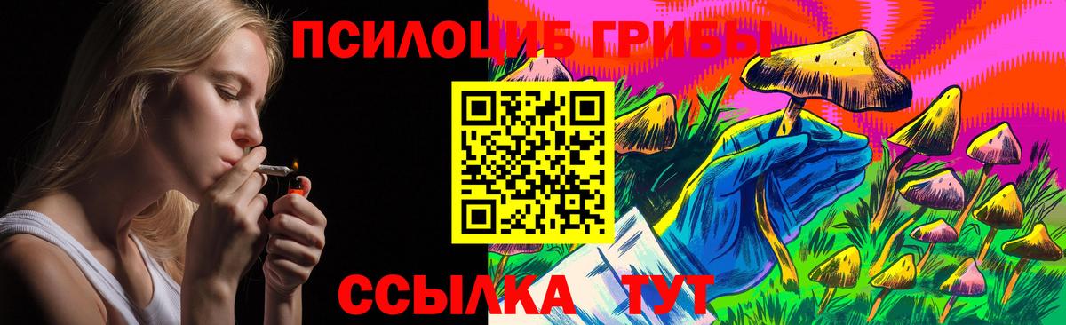 Псилоцибиновые грибы прущие грибы  Вход с VPN  Кириши 